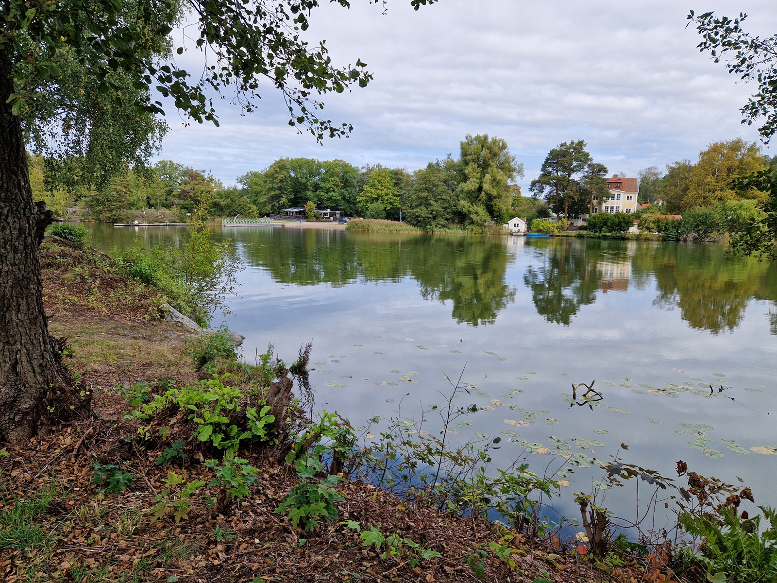 Vandring Långsjön runt