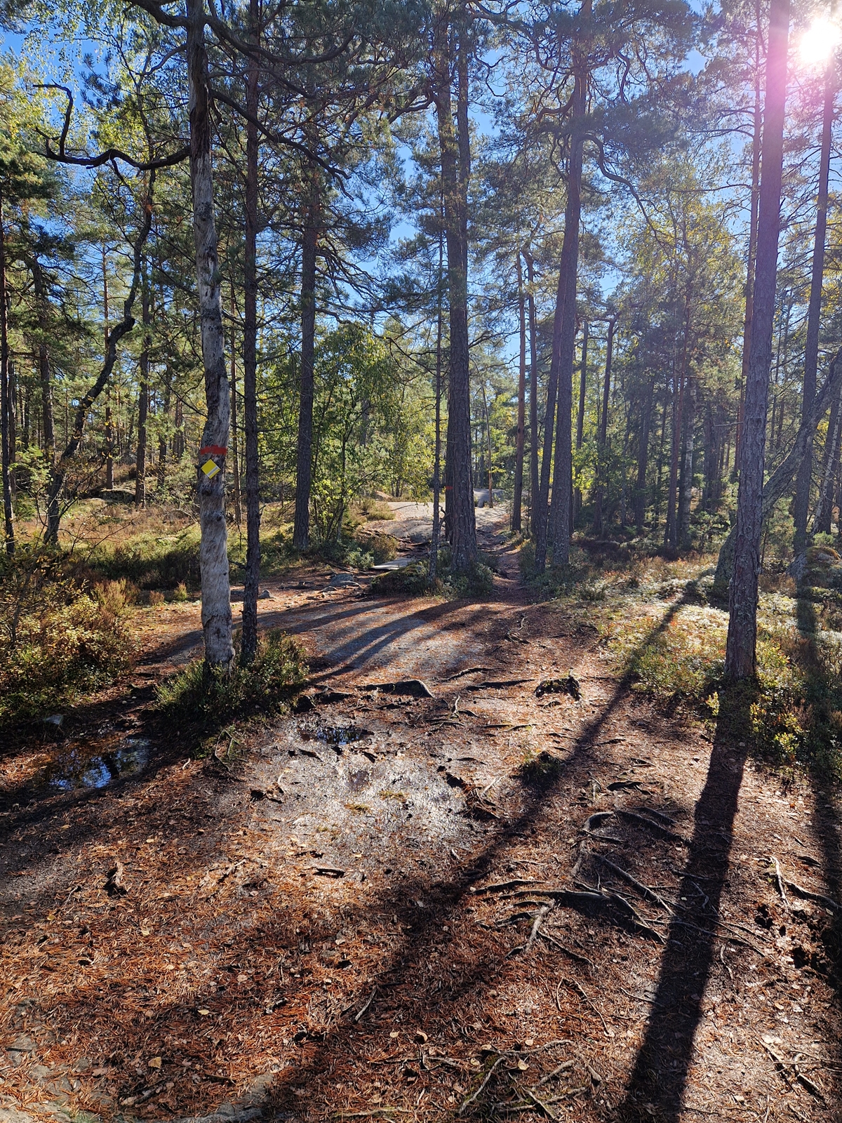 Mellan sjöarna Långsjön och Trehörningen Paradiset