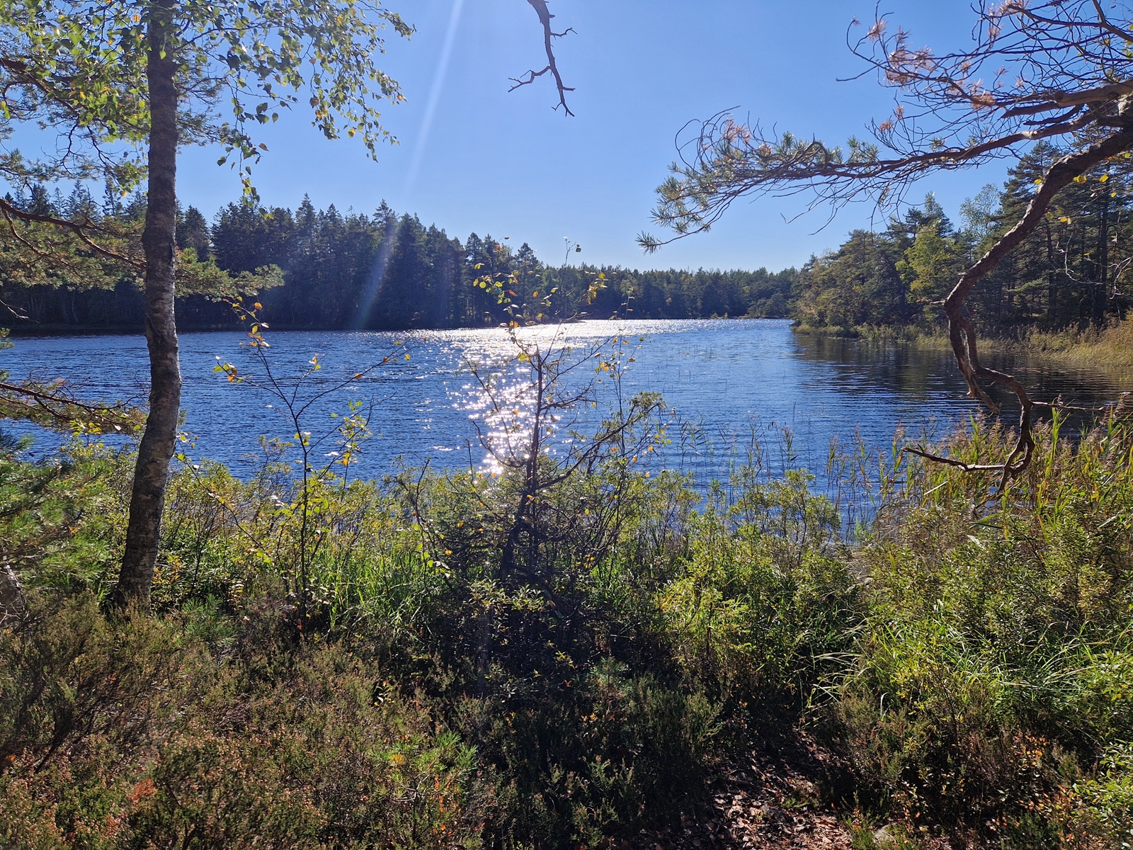 Trehörningen Paradiset