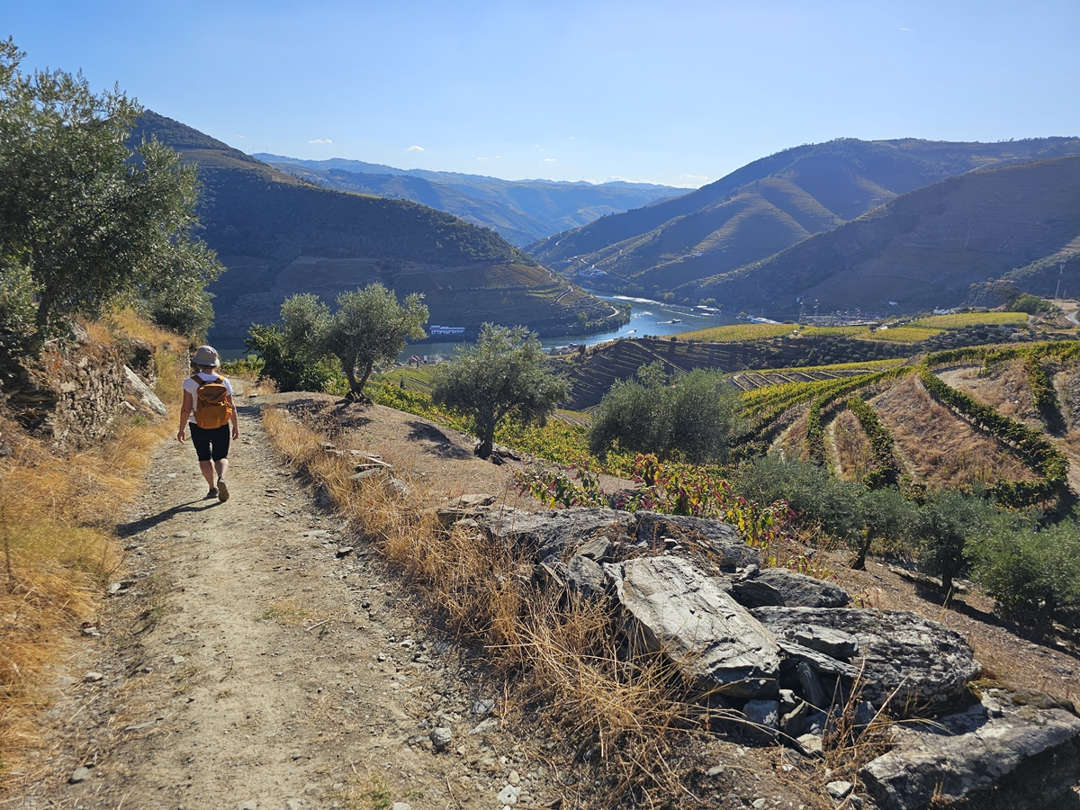 Pinhão vandring 1, på väg ner