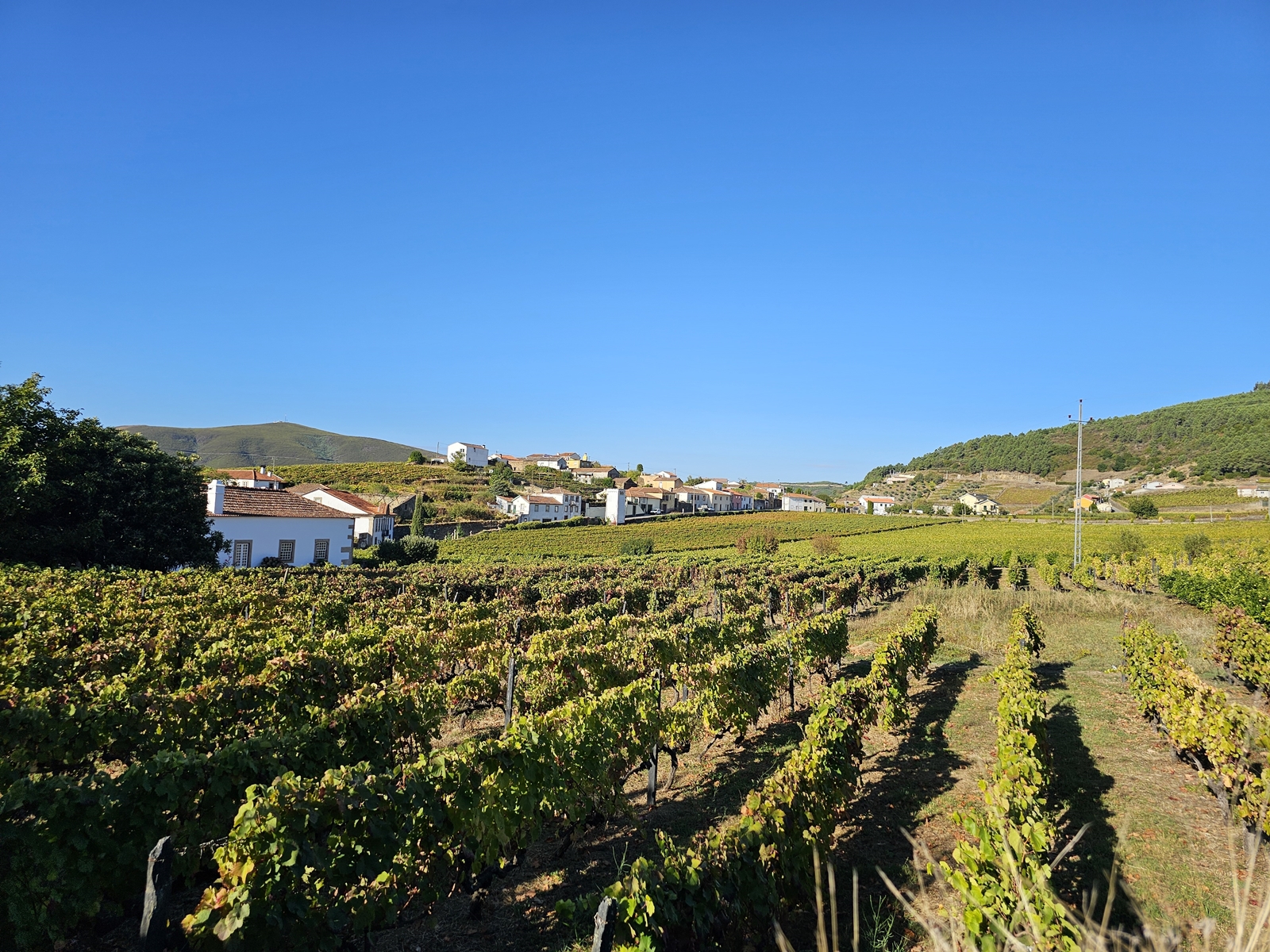 Porto20251012 095459 002