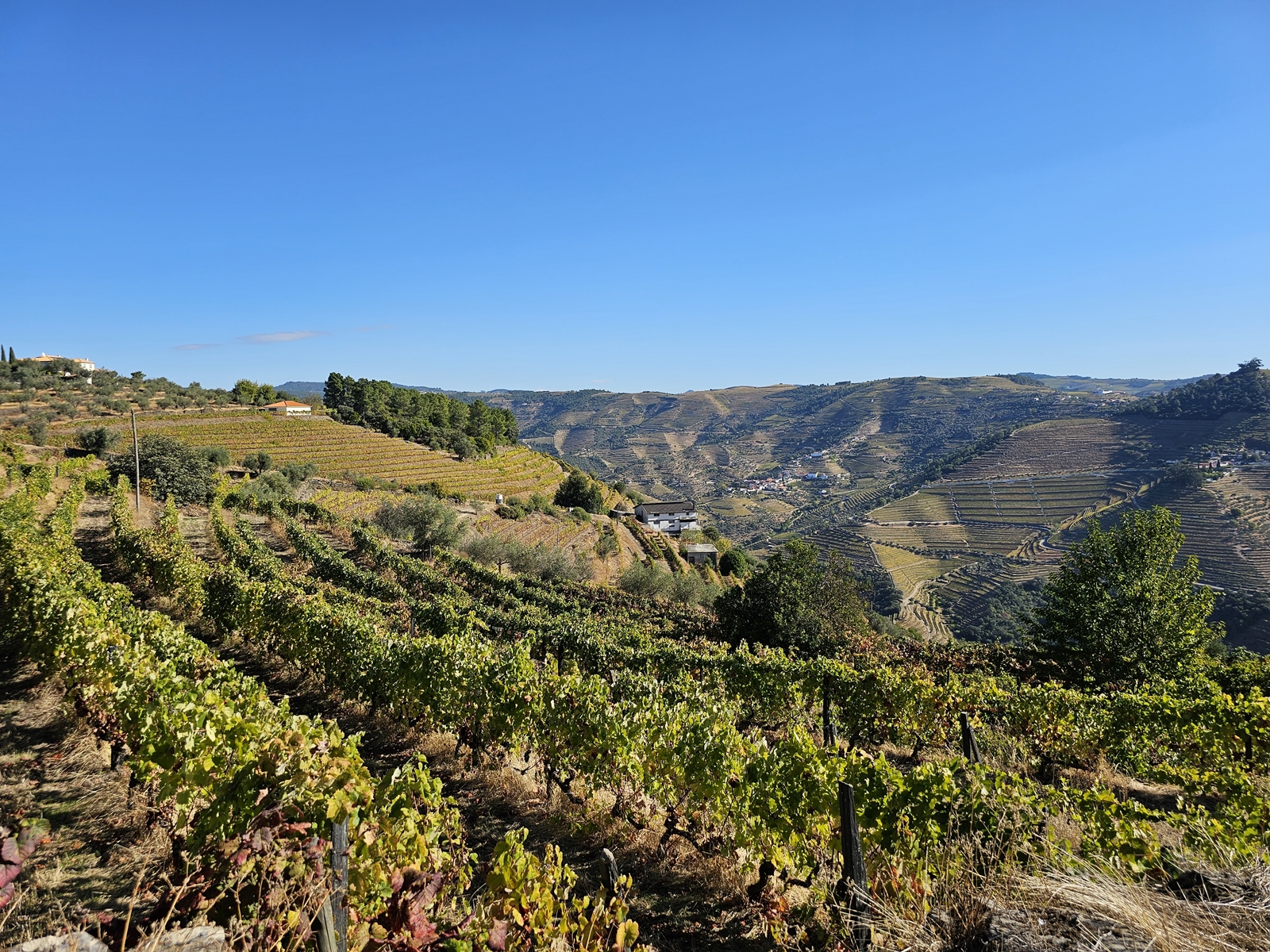 Porto20251012 105506 005