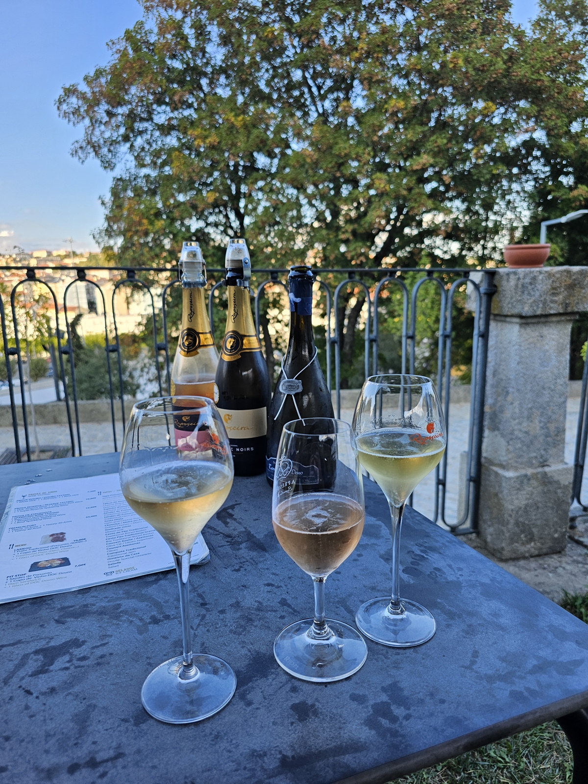 A Presunteca de Lamego A Presunteca de Lamego