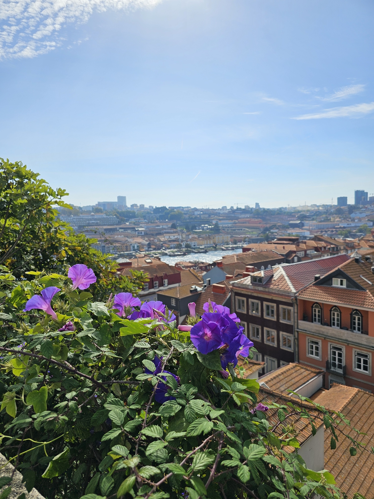 Porto20251015 135817 004