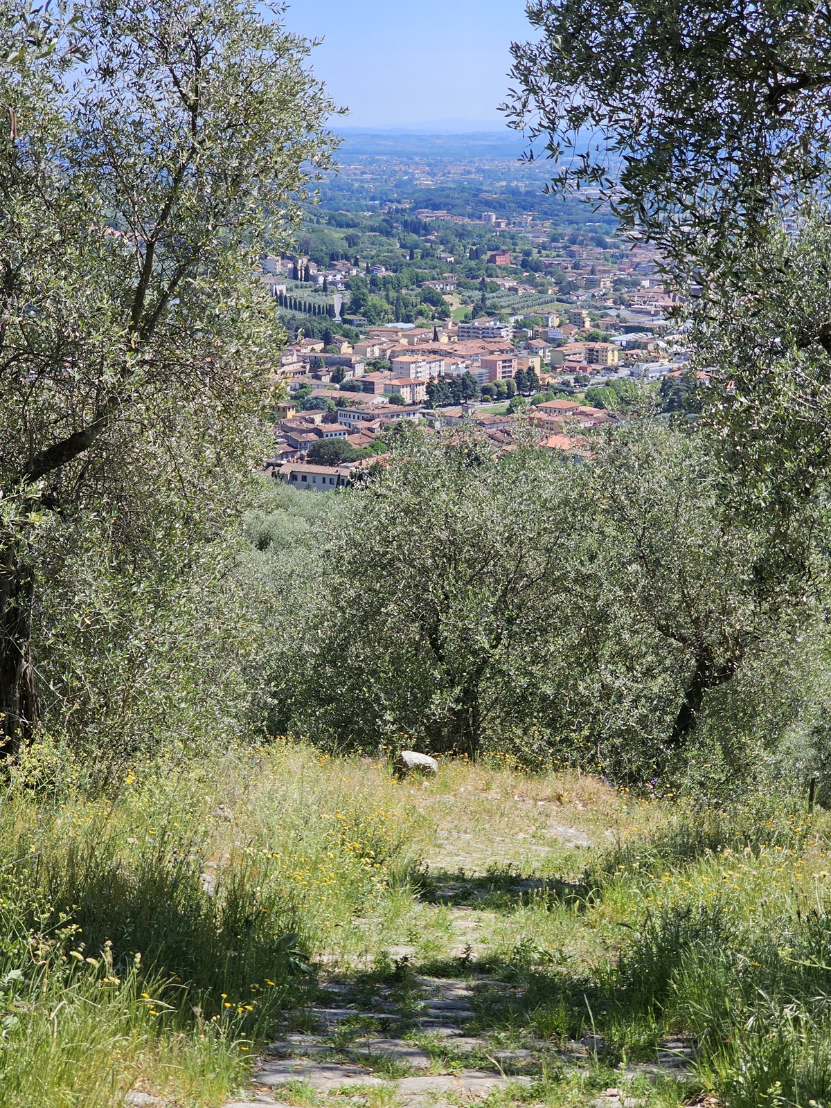 Lucca20260501 143110 006