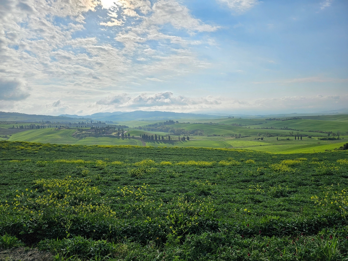Toscana20260421 085352 005