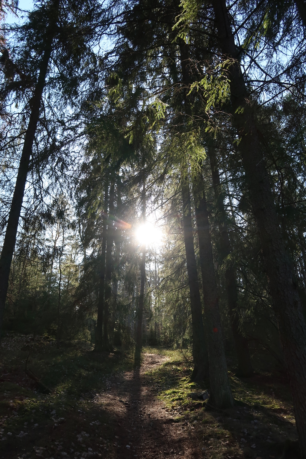 Vandring Ytterjärna