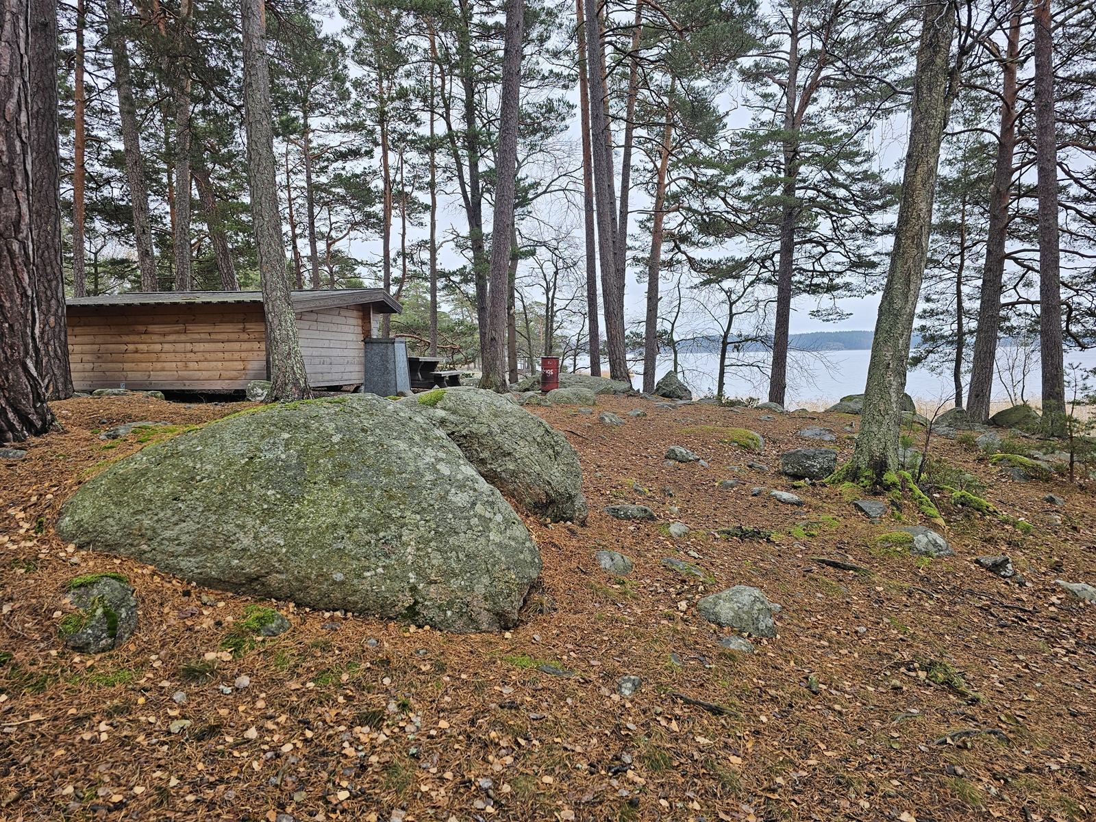 Haringe20251106 112426 004