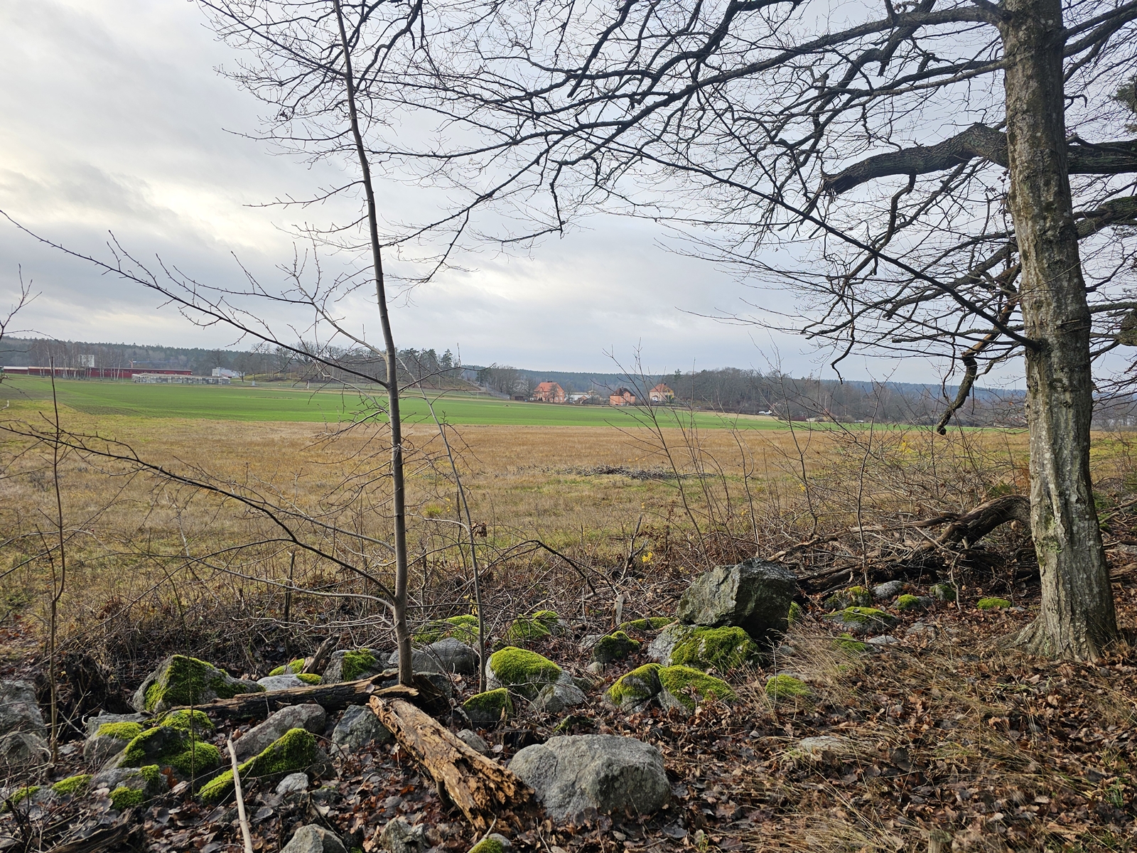 Hostvandr20251215 112610 002