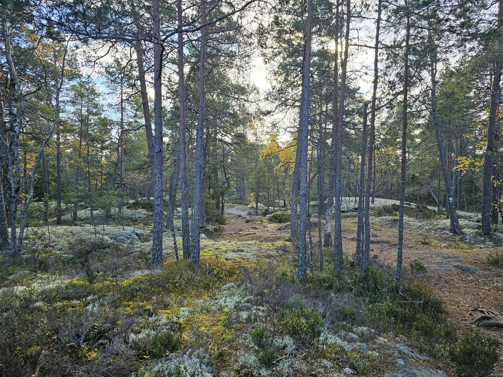 Lida20251020 114608 001