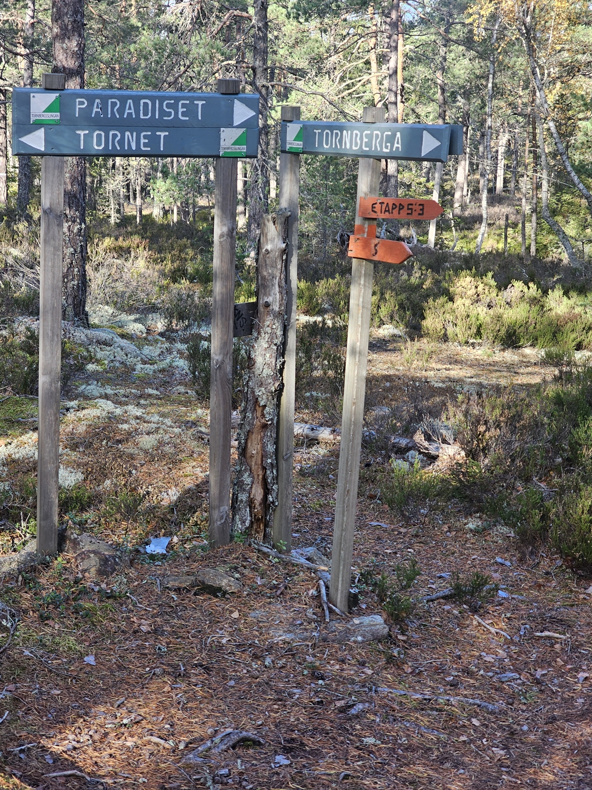 Lida20251020 120414 002