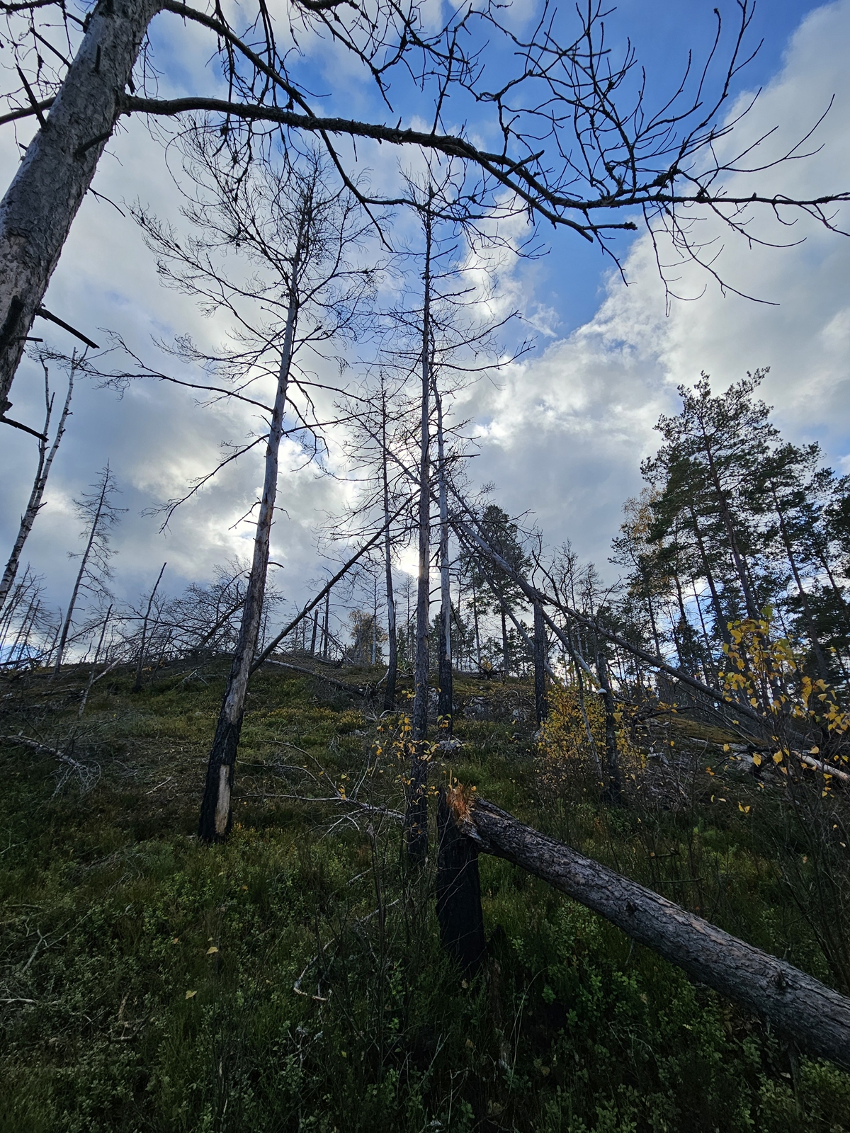 Lida20251020 130027 006