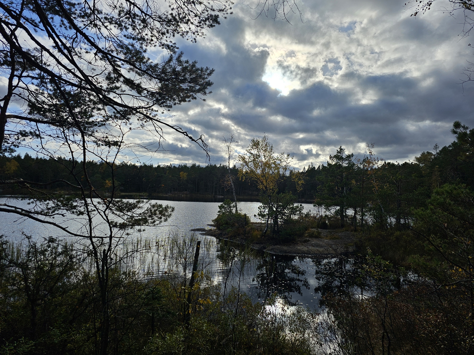 Lida20251020 134422 007