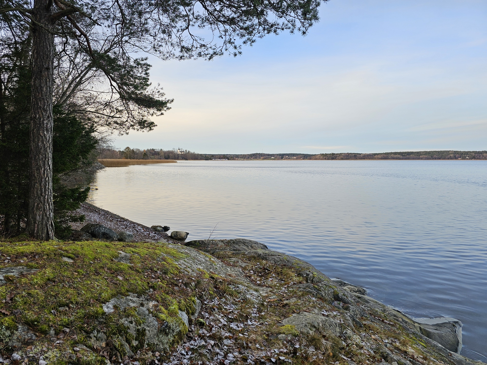 Ytterjarna20251115 142604 004