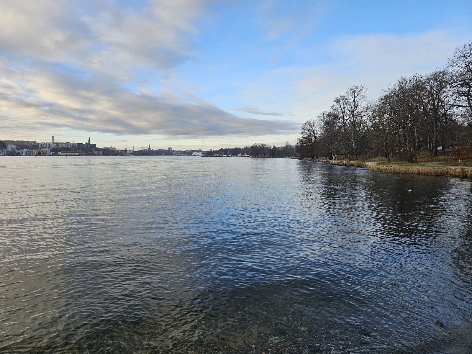 djurgarden20251124 103219 002