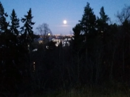 Höjdpunkter 2015