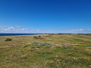 Södra Öland