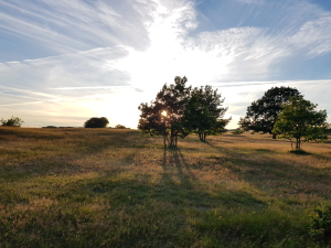 Skåne/Haväng 10-19 Juli