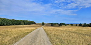 Skåne Juli