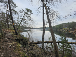 Höstvandring 8