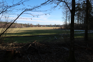Ytterjärna