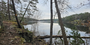 Gömmaren runt