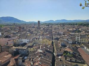 Lucca